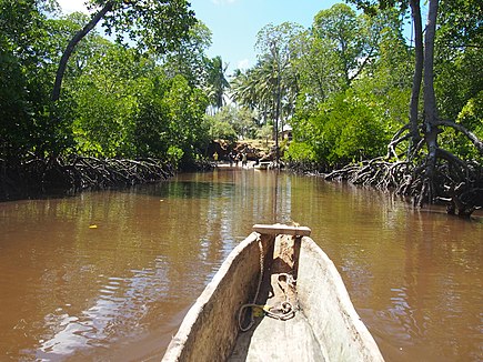 safari-kenya-michael-isola-mangrovie