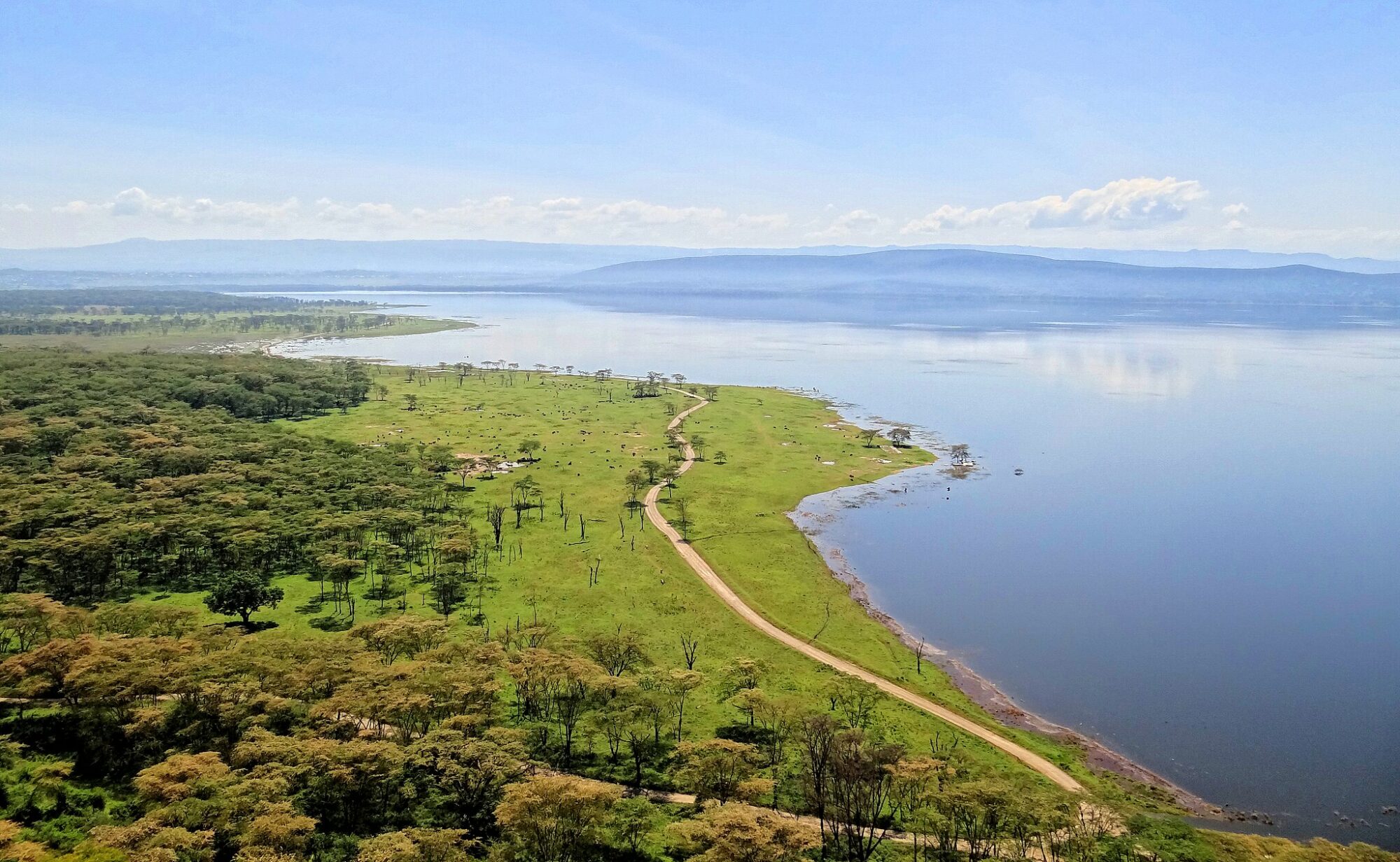 safari-kenya-michael-parchi-lake-nakuru