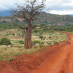 safari-kenya-michael-parchi-tsavo-est