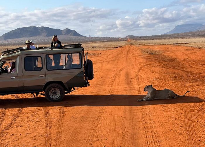 safari-kenya-michael-animali-safari